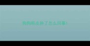 狗狗眼皮肿了怎么回事