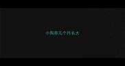 小狗养几个月长大