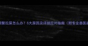 小狗频繁拉屎怎么办5大原因及详细应对指南附专业兽医建议