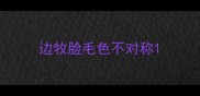 边牧脸毛色不对称