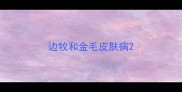 边牧和金毛皮肤病
