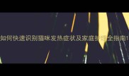 如何快速识别猫咪发热症状及家庭护理全指南