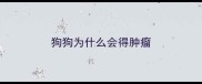狗狗为什么会得肿瘤