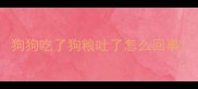 狗狗吃了狗粮吐了怎么回事