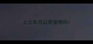 上火车可以带宠物吗
