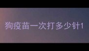 狗疫苗一次打多少针