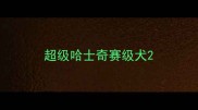 超级哈士奇赛级犬