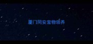 厦门同安宠物领养