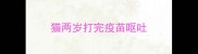 猫两岁打完疫苗呕吐