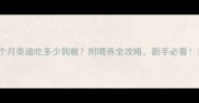 四个月泰迪吃多少狗粮附喂养全攻略新手必看