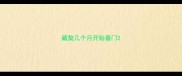 藏獒几个月开始看门