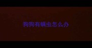 狗狗有螨虫怎么办