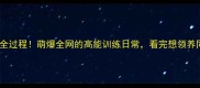 哈士奇变身警犬全过程萌爆全网的高能训练日常看完想领养同款毛孩子