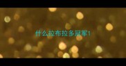 什么拉布拉多冠军