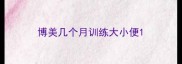 博美几个月训练大小便