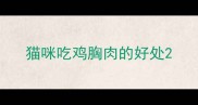 猫咪吃鸡胸肉的好处