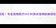 南昌市贝贝宠物医院专业宠物医疗24小时急诊宠物疾病预防与治疗权威机构
