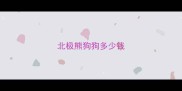 北极熊狗狗多少钱