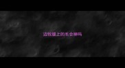 边牧腿上的毛会掉吗