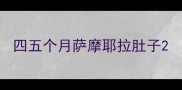 四五个月萨摩耶拉肚子