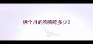 俩个月的狗狗吃多少
