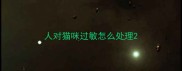 人对猫咪过敏怎么处理