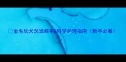 金毛幼犬洗澡频率科学护理指南新手必看