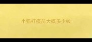 小猫打疫苗大概多少钱