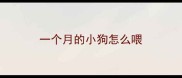 一个月的小狗怎么喂