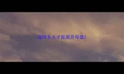 猫咪多大才能离开母猫