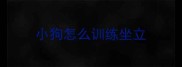 小狗怎么训练坐立