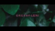 拉布拉多和什么配狗