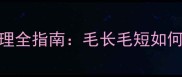 边牧幼犬毛发护理全指南毛长毛短如何科学修剪与打理