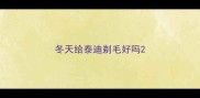 冬天给泰迪剃毛好吗
