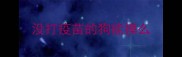没打疫苗的狗能摸么