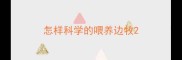 怎样科学的喂养边牧