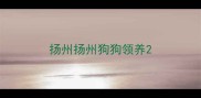 扬州扬州狗狗领养