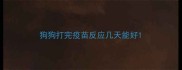 狗狗打完疫苗反应几天能好