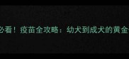 养哈士奇必看疫苗全攻略幼犬到成犬的黄金保护法则
