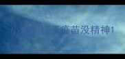 小金毛打了疫苗没精神