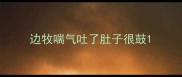 边牧喘气吐了肚子很鼓