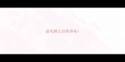 金毛脚上白色杂毛