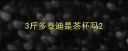3斤多泰迪是茶杯吗