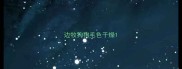 边牧狗狗毛色干燥