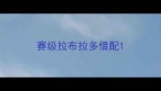 赛级拉布拉多借配