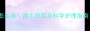 狗狗身上有红色小包怎么办常见原因及科学护理指南附家庭处理方法