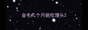 金毛几个月能吃馒头
