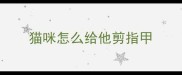 猫咪怎么给他剪指甲