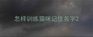 怎样训练猫咪记住名字