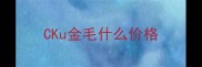 CKu金毛什么价格